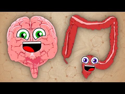 How Your Brain Controls The Body! | KLT Anatomy