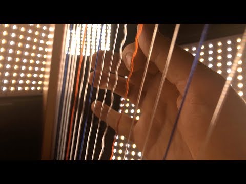 Stranger Things Theme on a Harp/Cello