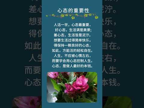 子夜說#人生感悟 #深夜讀書 #感情 #正能量 #中老年心語