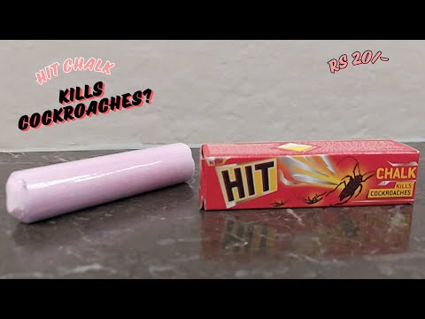 "HIT Chalk for Cockroaches and Ants | Honest Review & How to Use"