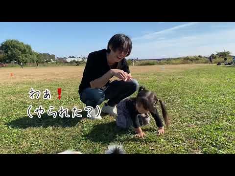 お散歩日和（2歳）