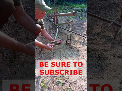 QUICK OPERATION OF THIS THING  #trap #farming #survivalfarm #bushcraft