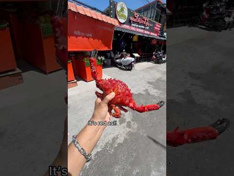 Buying Asian Red Crab