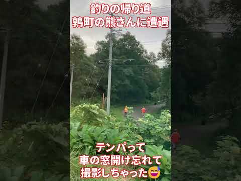 釣りの帰り熊🐻に遭遇 #shorts #厚沢部町 #鶉町 #北海道