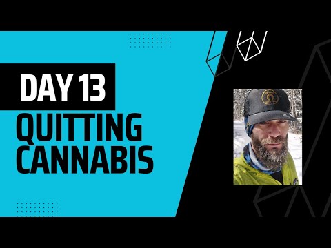 Day 13: Quitting Cannabis - Discussing How FEAR May Influence Our Decisions and Feed Addictions