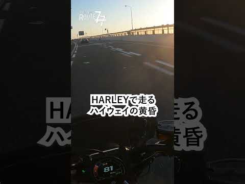 Twilight on the Japanese highways, riding a motorcycle. #shorts #バイク #ハーレー #harleydavidson