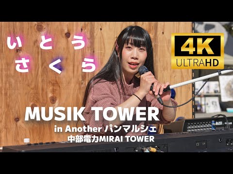 いとうさくら ／ MUSIK TOWER in Another パンマルシェ（中部電力MIRAI TOWER前）2024年11月3日