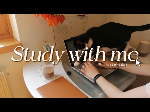 1 HOUR STUDY SESSION - Study with me with peaceful spring sounds and a cat!