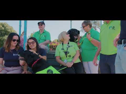 IRISH GUIDE DOGS DONATION [BLAA GIVEAWAYS]