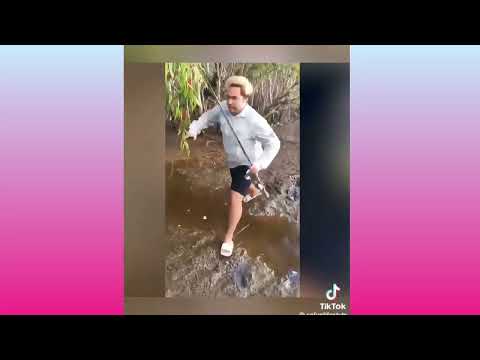 Funny Human and Animal Fails Compilation || Funny Fails || Funniest video 2025 || Try Not to Laugh