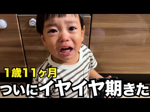 ついにイヤイヤ期が始まったようです【1歳11ヶ月】