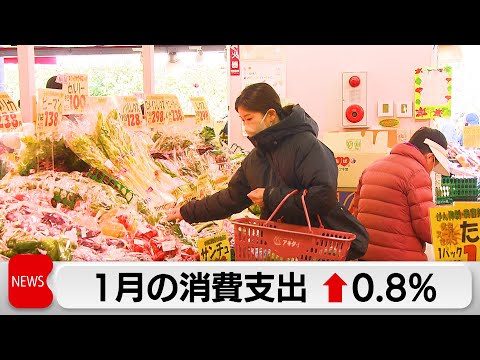 1月消費支出0.8％増　食料の買い控えで伸び鈍化