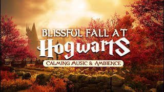 Autumn at Hogwarts | Calming Harry Potter Music & Cozy Fall Ambience #relax #study