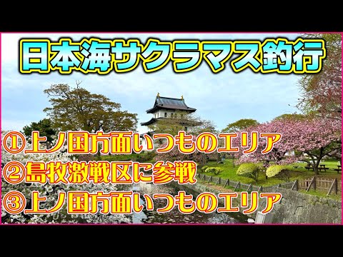 【北海道サーフ2024】道南日本海(上ノ国方面＆島牧)：本命釣れずな日本海！＜釣りド素人4月の釣行記録＞