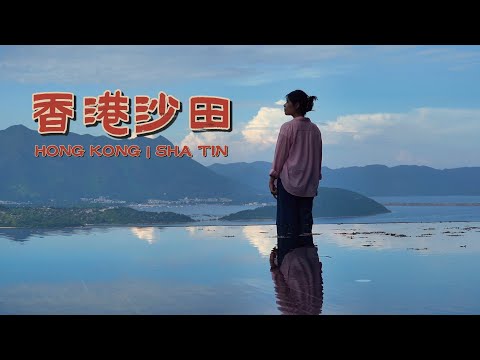 从珠海🇨🇳入境香港🇭🇰沙田区颠覆了我对香港的认知｜沙田马场赌马日🏇｜香港中文大学一日游