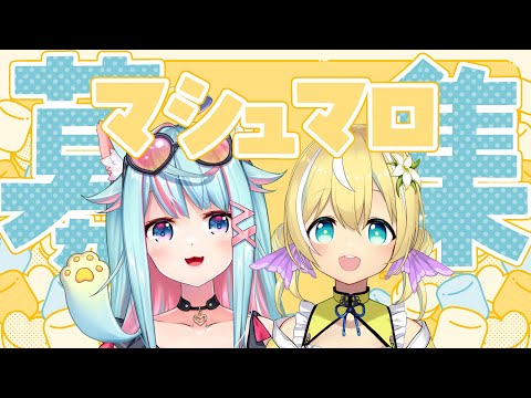 【マシュマロ】2人でマシュマロに答える！最後に告知あり💛【涼風しとら/Rumi】