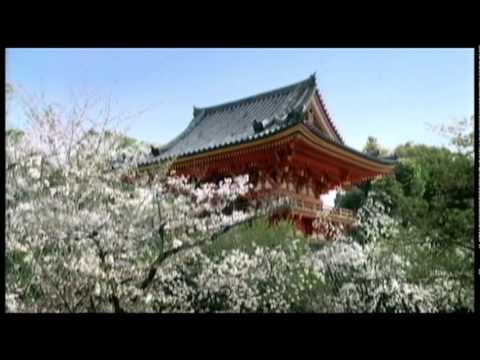 そうだ京都行こう－仁和寺　2010年2月