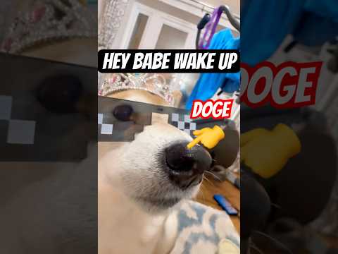 hey babe, wake up (to boop) #cutenessoverload