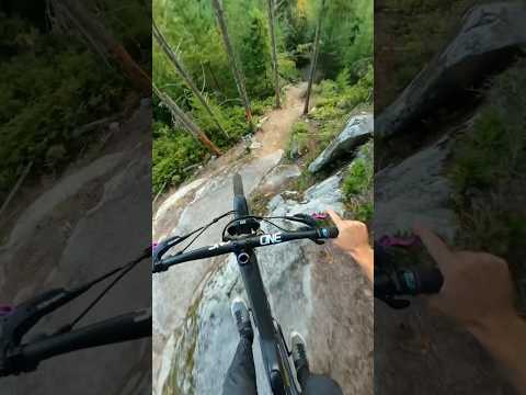 Riding the most difficult line in Mountain Bike Dream Land