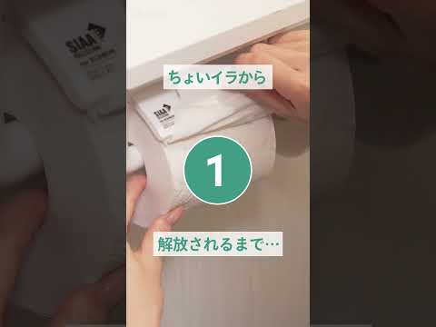 トイレットペーパーを綺麗に剥がすテク