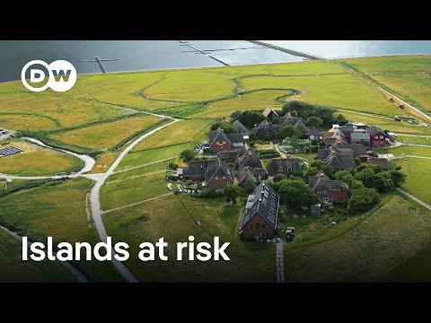 Is the sea swallowing up the land? | DW Documentary