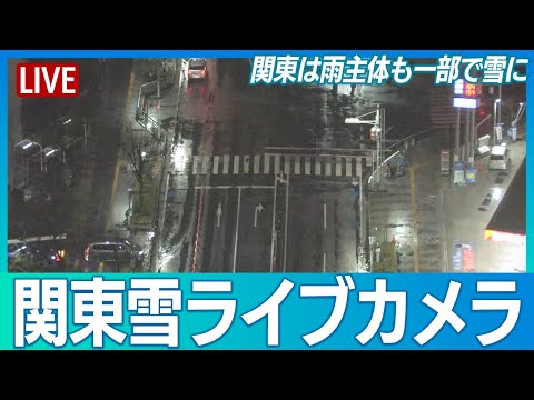 【関東雪ライブカメラ】千葉県千葉市美浜区 ウェザーニュースお天気カメラ 2025年3月8日（土）