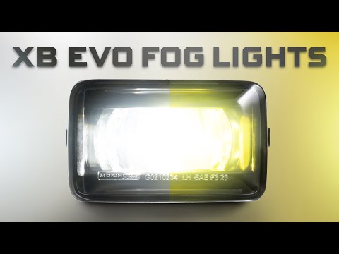 Unlock Ultimate Visibility with New Morimoto XB Evo Fog Lights! | XB Evo LED Fog Light Review