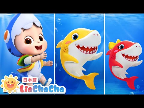 Baby Shark Doo Doo Doo | 英語の歌 | 子ども向け英語聞き流し | 子どもの歌 | 童謡 | リアとチャチャ | LiaChaCha