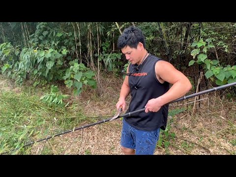 Japanese Fisherman Went for Fishing to a Deserted Island With His Handmade Harpoon