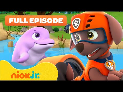 PAW Patrol Pups Pups Save a Dolphin Pup! w/ Zuma 🐬 FULL EPISODE | Nick Jr.