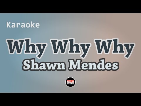 Shawn Mendes - Why Why Why (Karaoke)