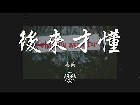 毒藥 - 後來才懂『後來才懂 以爲最難過』【動態歌詞Lyrics】