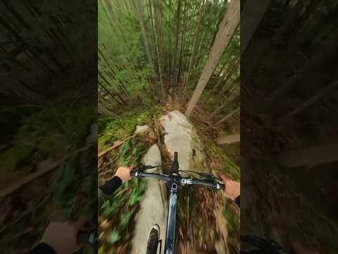 Mountain Bikers did not use the rope to climb down this! #mountainbiking #remymetailler #pov