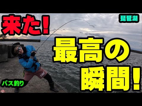 ついに最高の瞬間がやってきた！！【琵琶湖】【バス釣り】【シャーベットヘアーチャンネル】