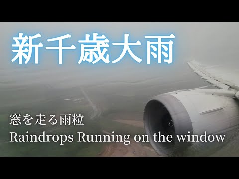 【ANA787】Landing at Sapporo in the heavy rain