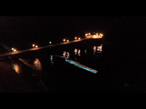 Water glowing blue in SOCAL! (Bioluminescence)