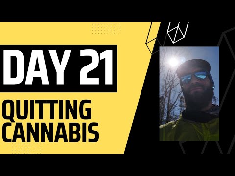 Day 21: Quitting Cannabis - 8 Years since the Navy Kicked me Out for HONESTY and WOKE the DRAGON 333