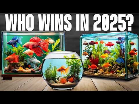 TOP 5 Best Fish Tanks 2025