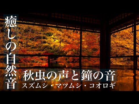 脳疲労回復　心を落ち着かせる優しき秋虫と鐘の音色　ASMR