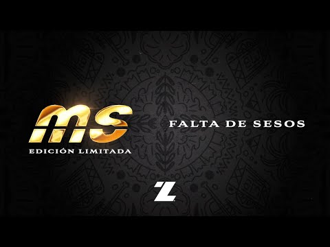 Banda MS de Sergio Lizárraga - Falta De Sesos (Video Lyric)