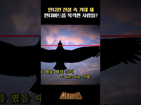 인디언 전설 속 거대 새, 썬더버드를 목격한 사람들? #사프라이즈