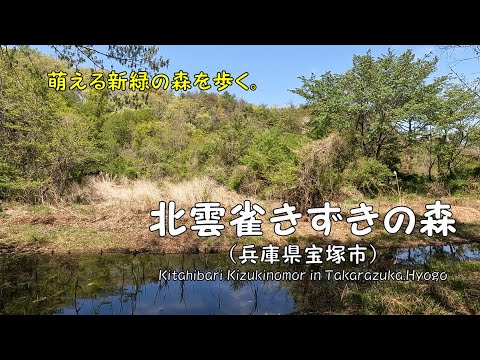 【 ４K動画　北雲雀きずきの森を歩く（兵庫県宝塚市）】　新緑がまぶしい季節、緑のコントラストと鳥たちの声を楽しみに行こう。2022年4月撮影。