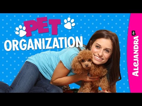 Pet Organization