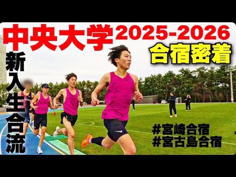 【合宿密着】新チーム始動！宮崎・宮古島合宿に密着してみた | 2025