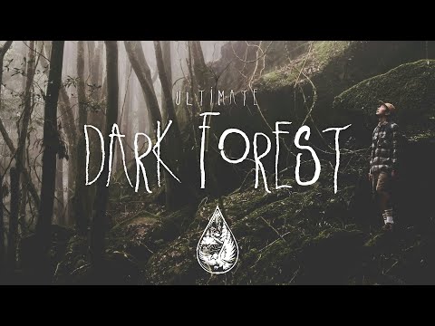 Ultimate Dark Forest 🦇 - A Spooky Indie/Folk/Alternative Playlist