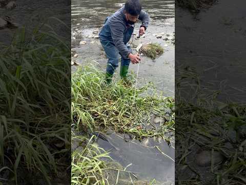 Napakadali pumana ng isda