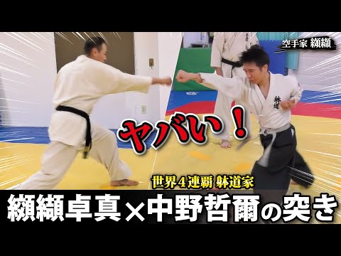 It is dangerous for karate practitioners to learn Taido punches！【Nakano Tetsuji】