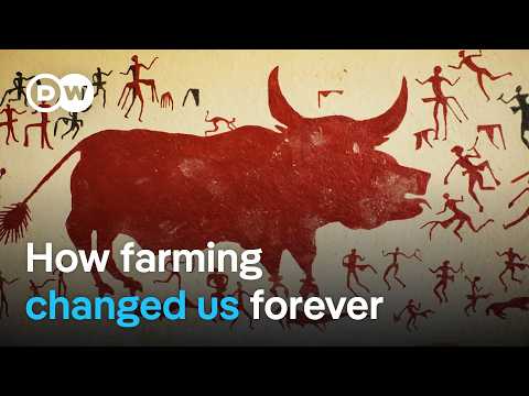 From hunter-gatherers to farmers - How did humanity change in the Neolithic period? | DW Documentary