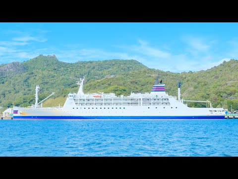 24-Hour Ship Journey to a Small Southern Island in Japan 🚢