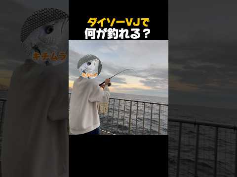 ダイソーVJで何が釣れる？#shorts #ダイソーvj